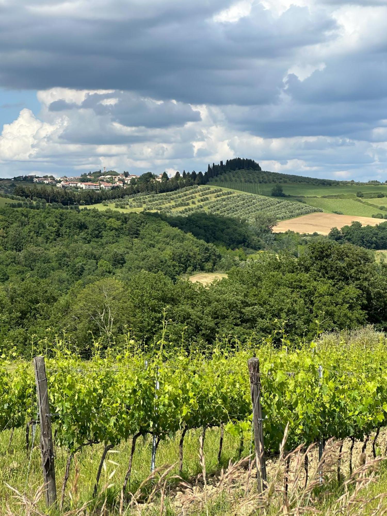 Agriturismo Fattoria Sant'Appiano Барберино-Валь-д'Эльса Экстерьер фото